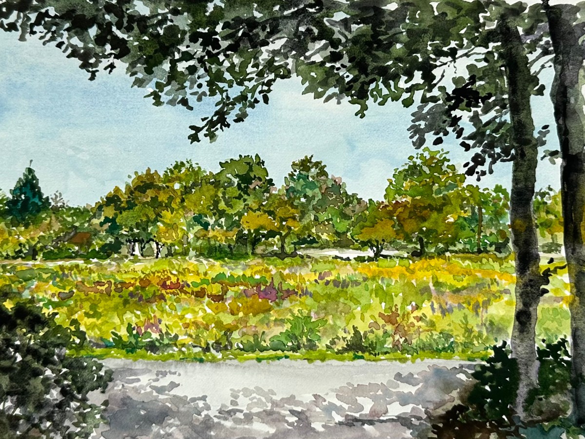 “Fairview View” accepted to the Sandwich Arts Alliance’s annual June Kershaw juried exhibit August 5 – September 8,&nbsp;2026.